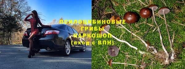 прущие крисы Богданович