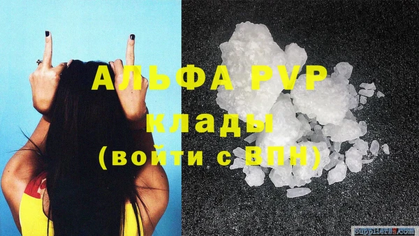 прущие крисы Богданович