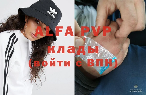 прущие крисы Богданович