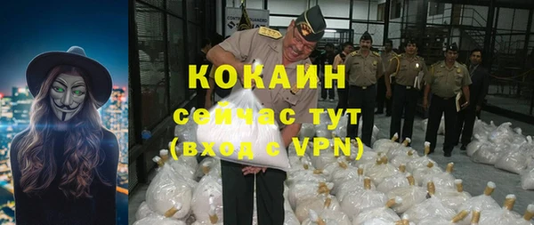 прущие крисы Богданович